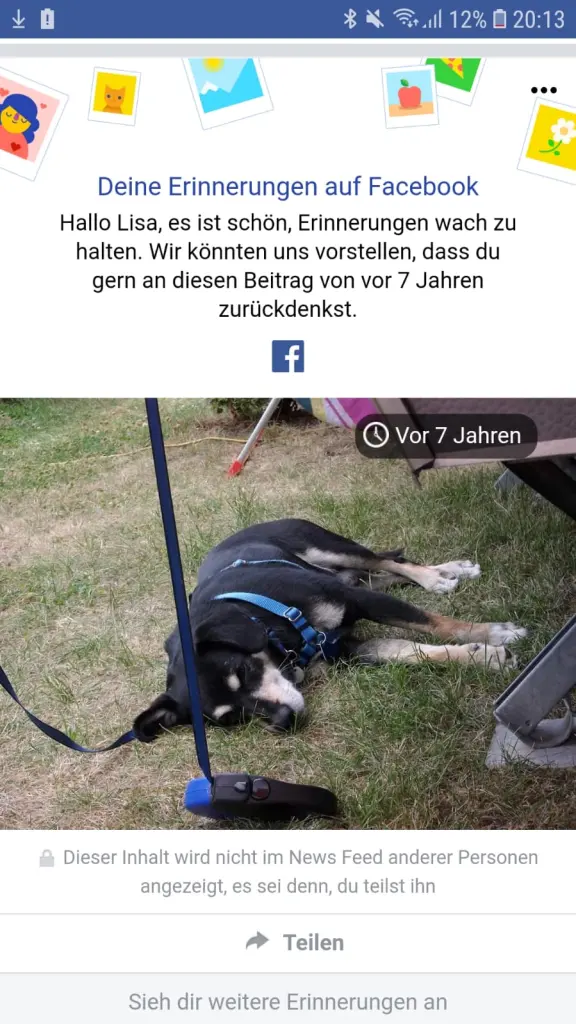 Condolence image of Herrchen