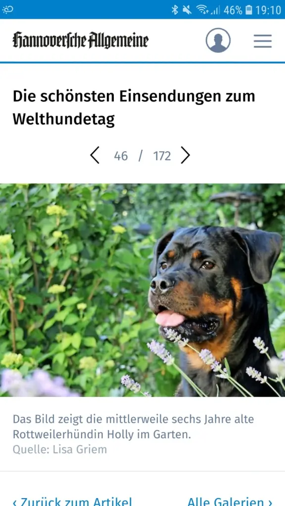 Condolence image of Herrchen & Frauchen