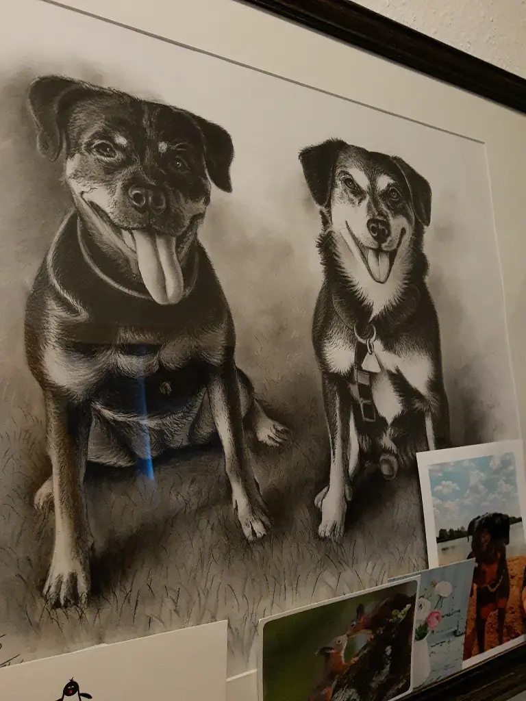 Condolence image of Kleines Frauchen