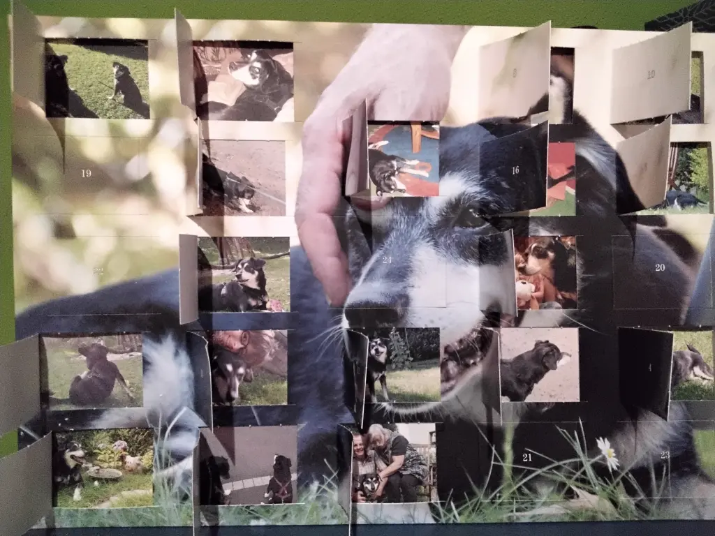 Condolence image of Herrchen und Frauchen
