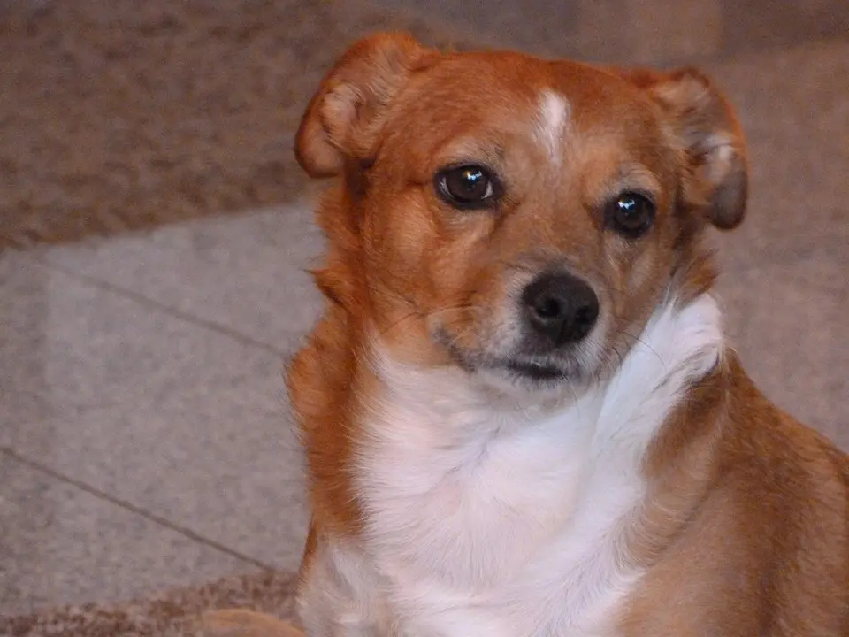 Image from Buffy