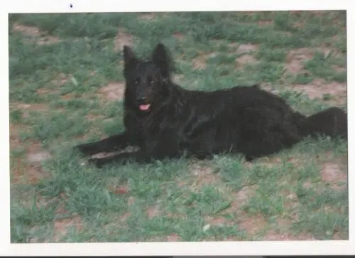 Bild von Tessy