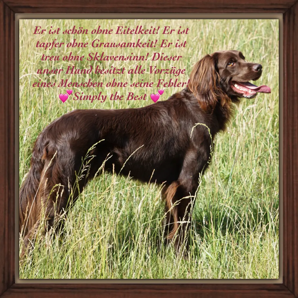 Condolence image of Bettina
