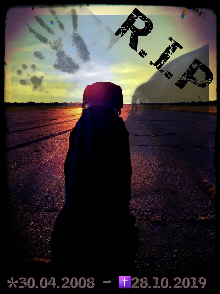 Image from Junior