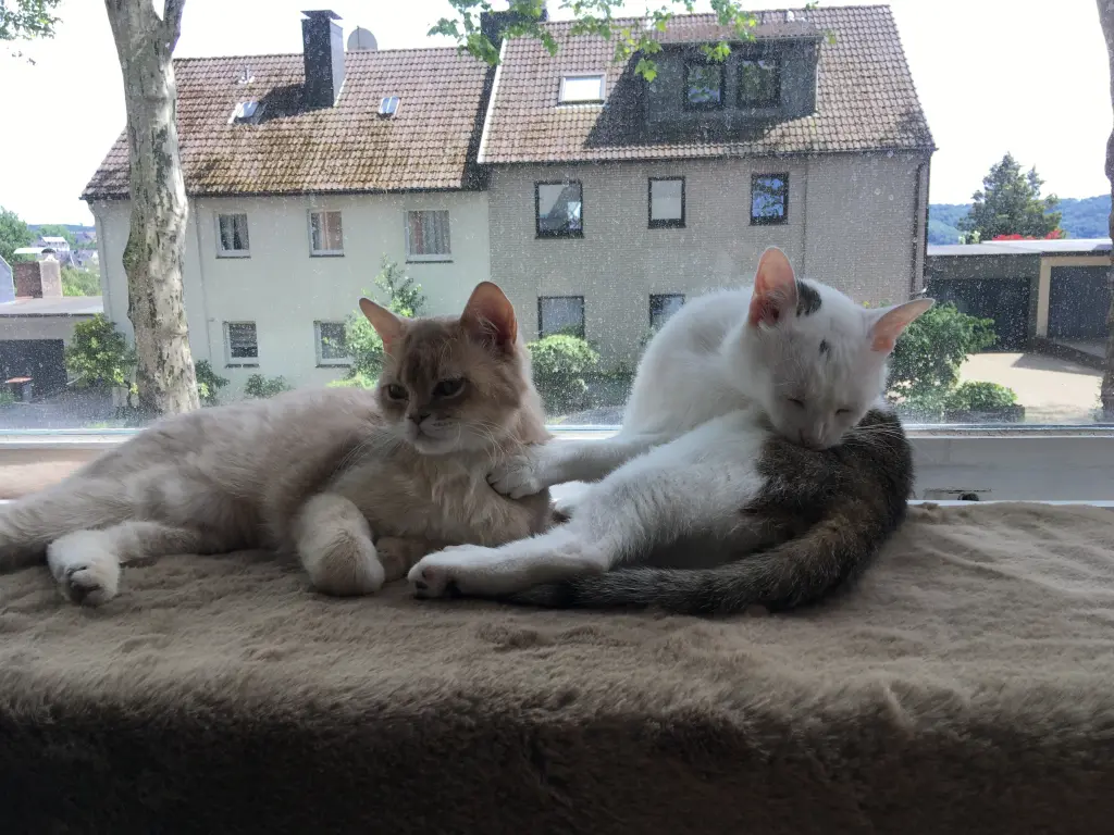 Condolence image of Irina und Patrick 