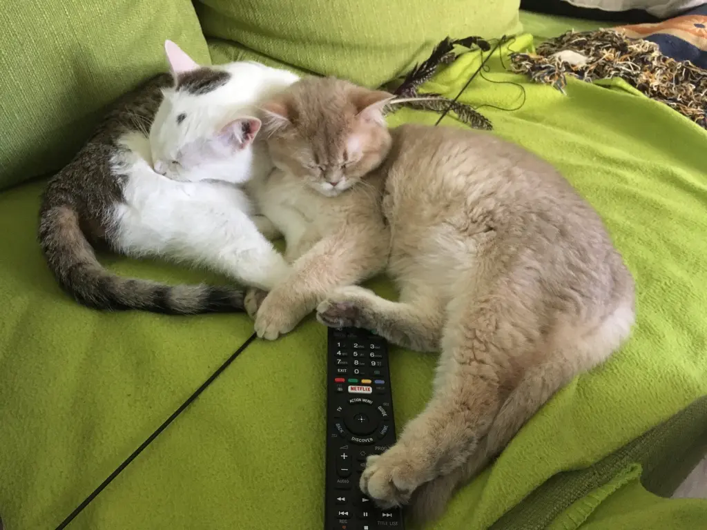 Condolence image of Patrick und Irina