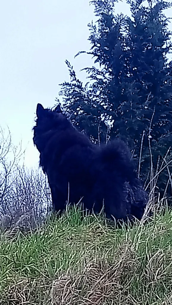Condolence image of Elke mit Wolle tief im Herzen