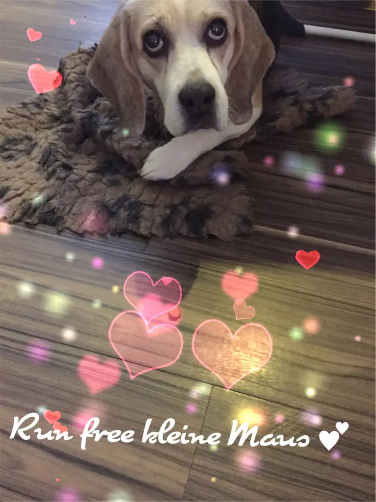 Image from Ruby