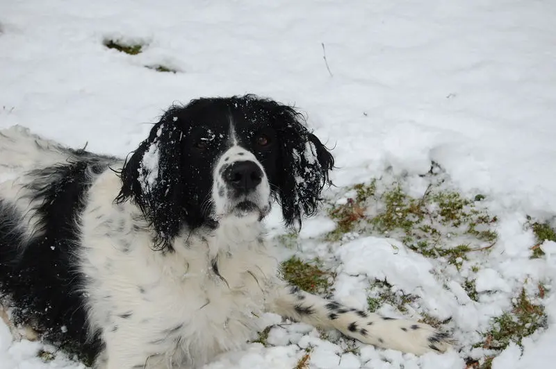 Andachtsbild von Annette mit Biko