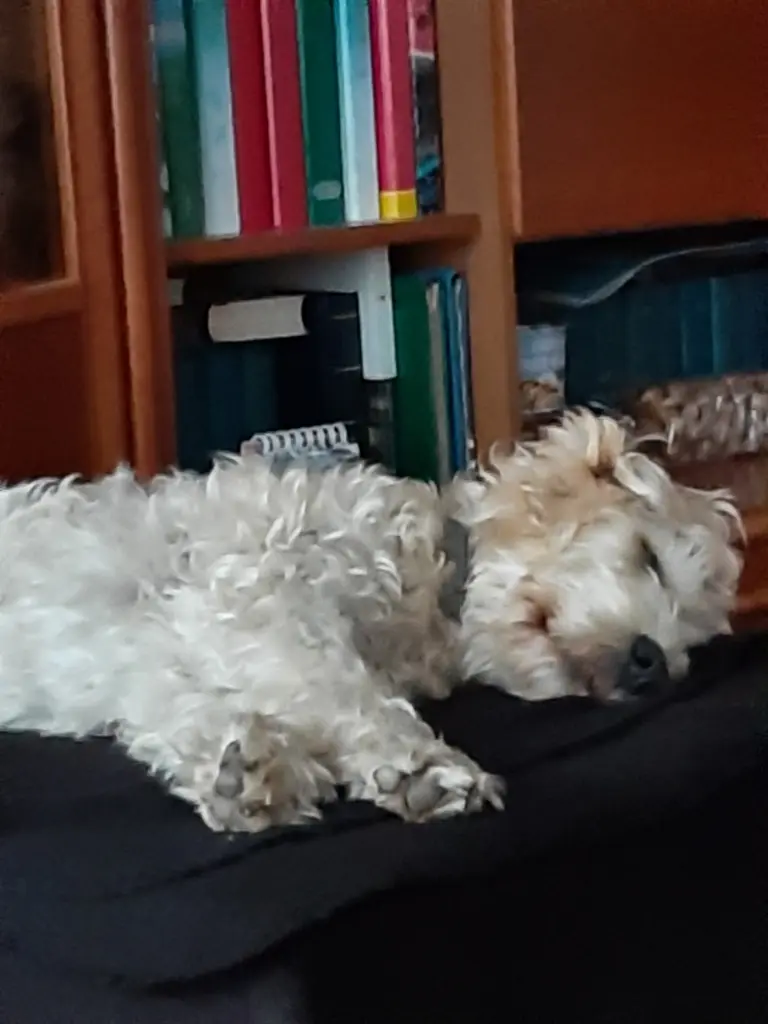Condolence image of Beate