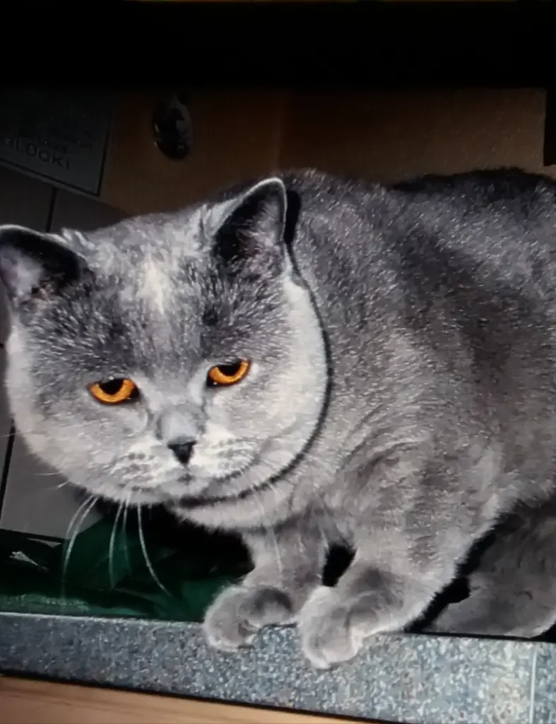 Andachtsbild von Sabine mit Kaspar tief im Herzen