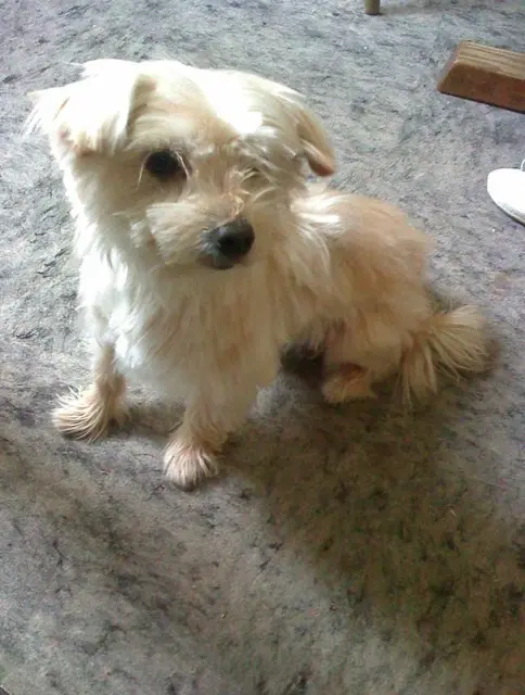 Image from Teddy