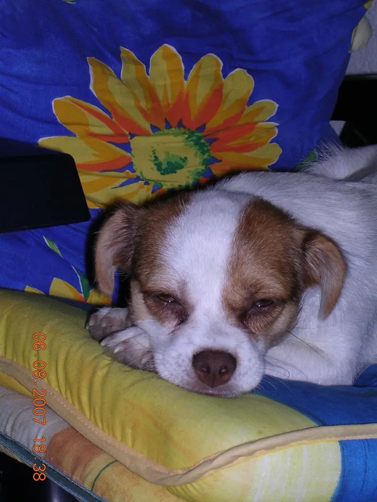 Image from Anna