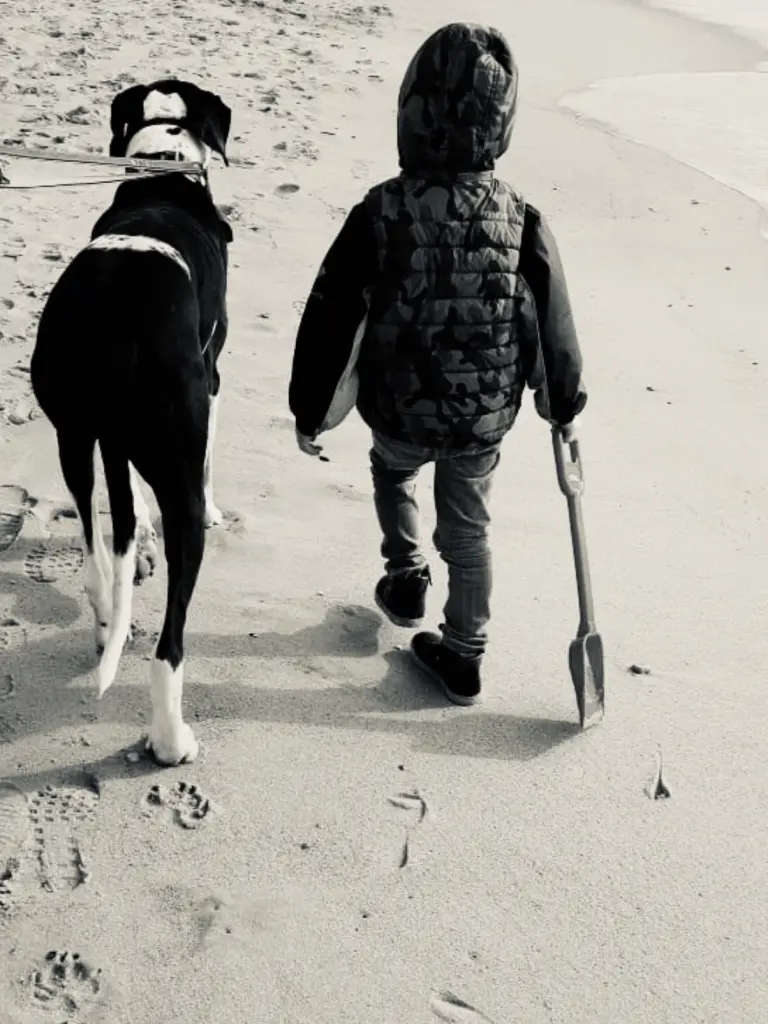Image from Brutus