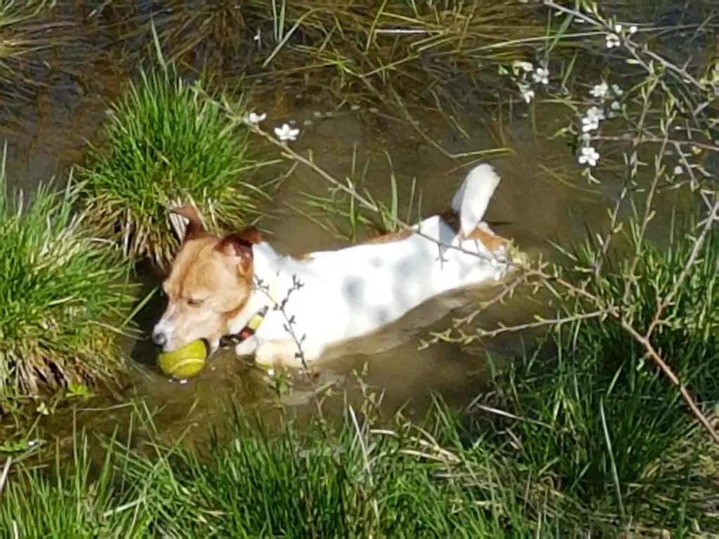 Image from Kessy
