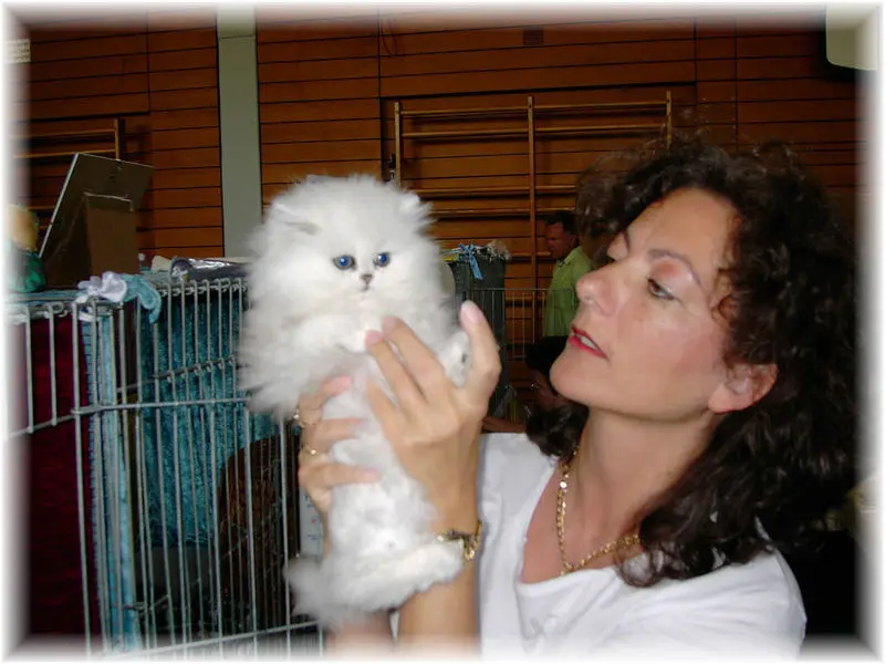 Image from Elaysa