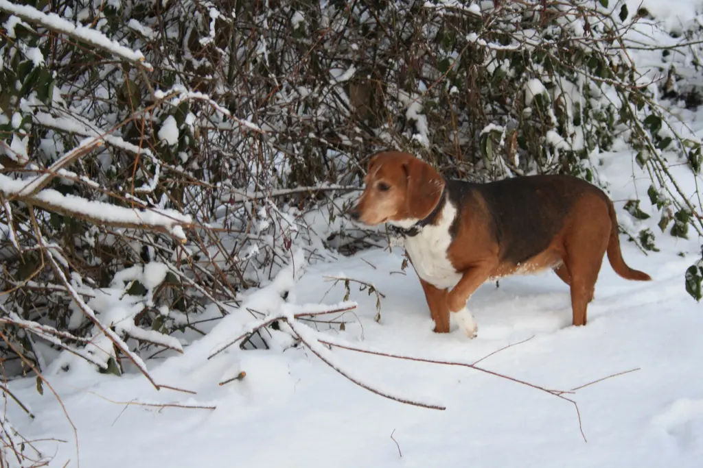 Condolence image of Wolfgang