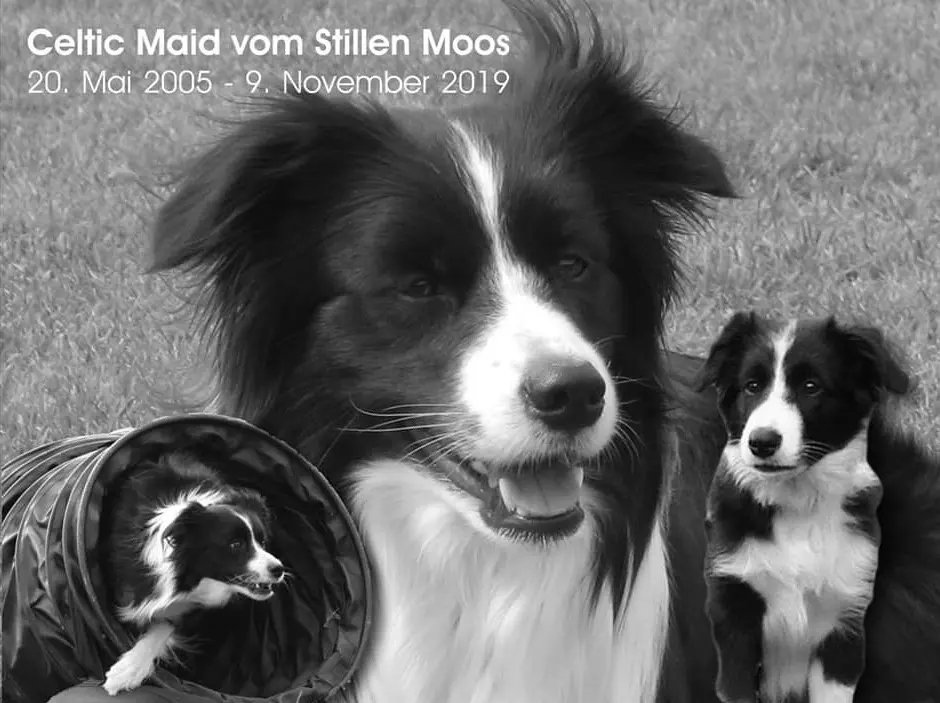 Image from May