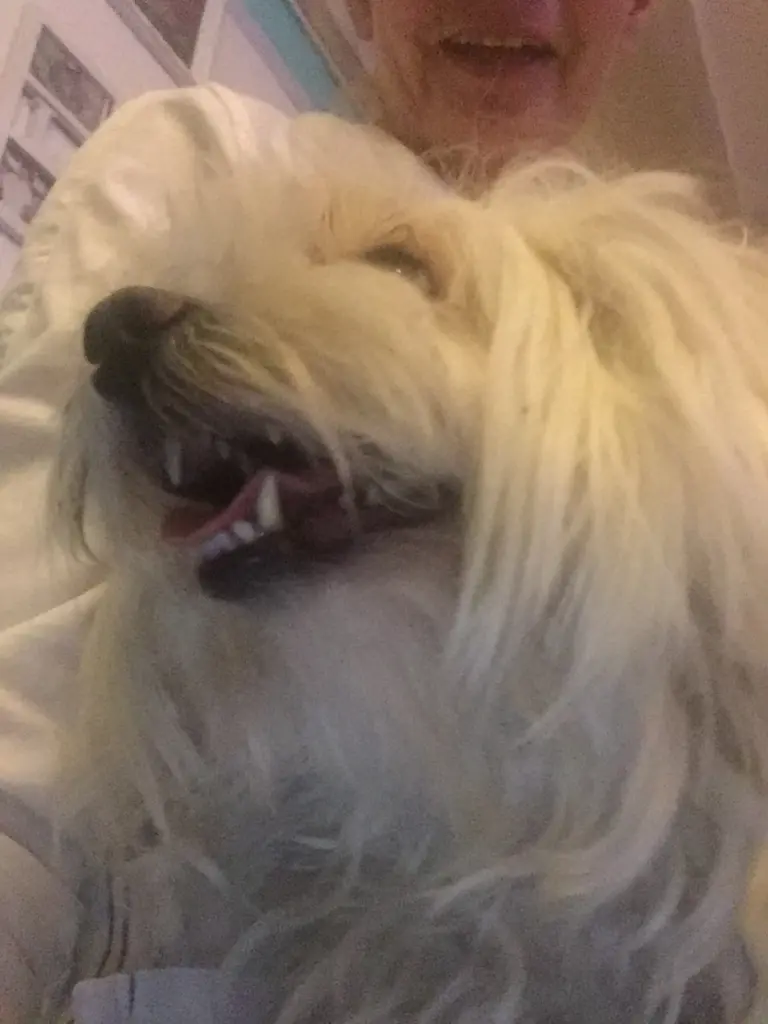 Image from Daisy