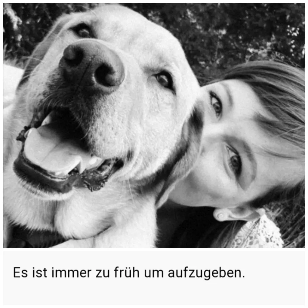 Image from Lenni