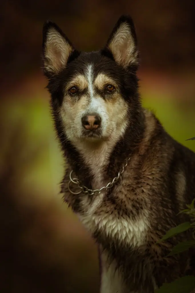 Condolence image of Jane