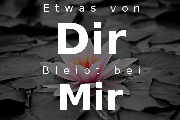 Condolence image of Marion  Bruhnsen 