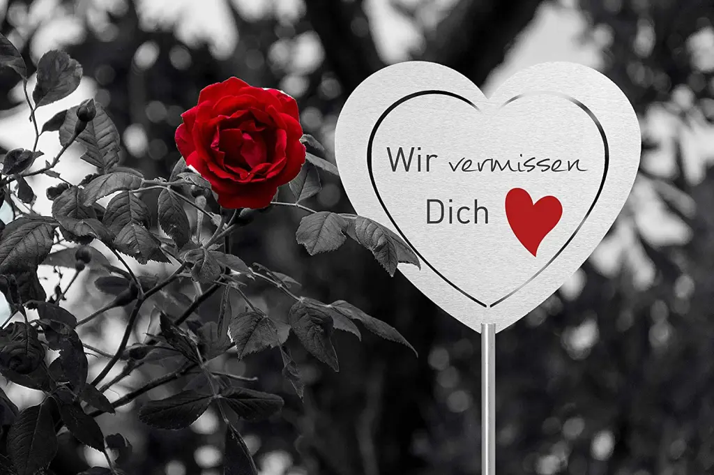 Condolence image of Marion Bruhnsen