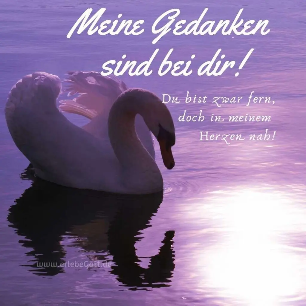 Condolence image of Marion Bruhnsen