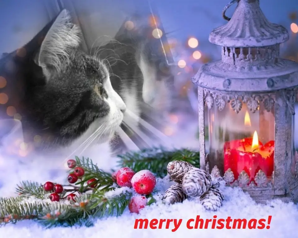 Condolence image of Weihnachtsgrüße die von Herzen kommen✰ ¸.•*¨*•.