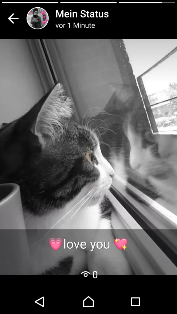Image from Balu 