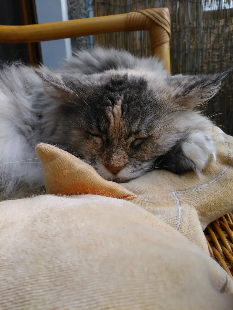Image from Baby