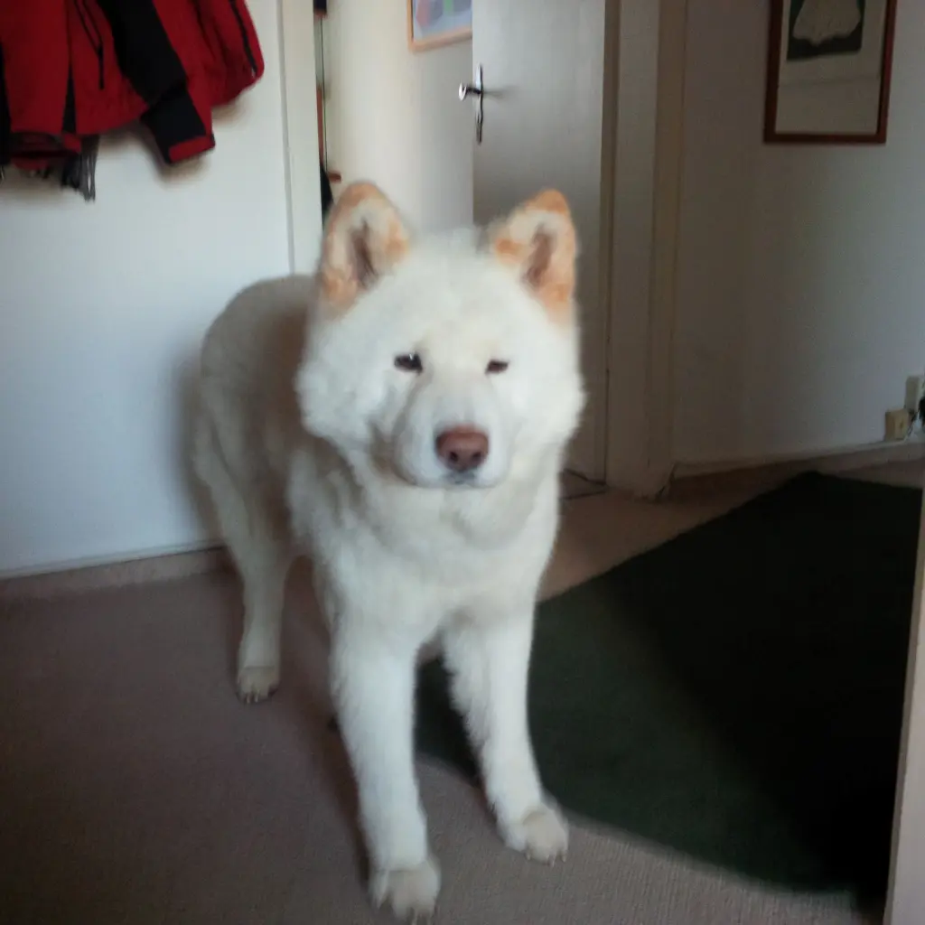 Image from Lucy