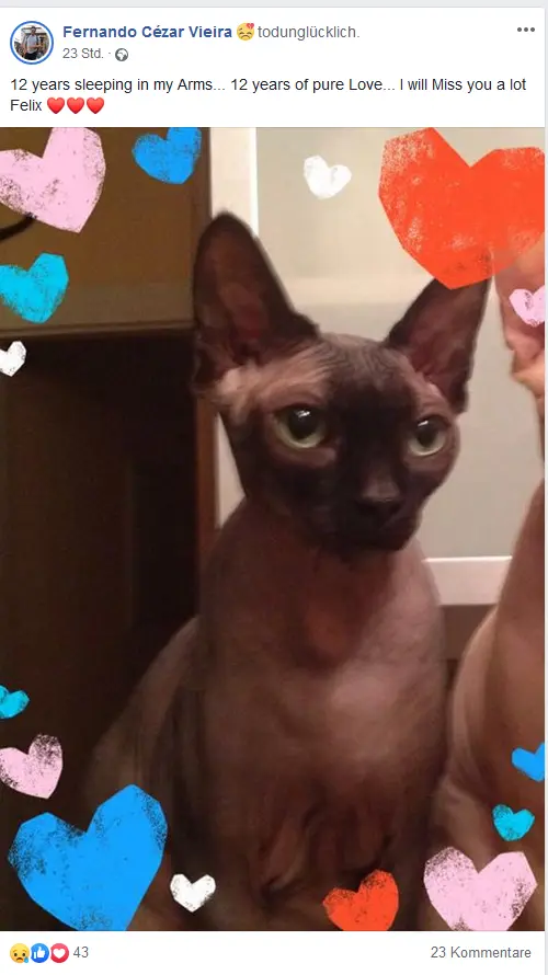 Image from Felix