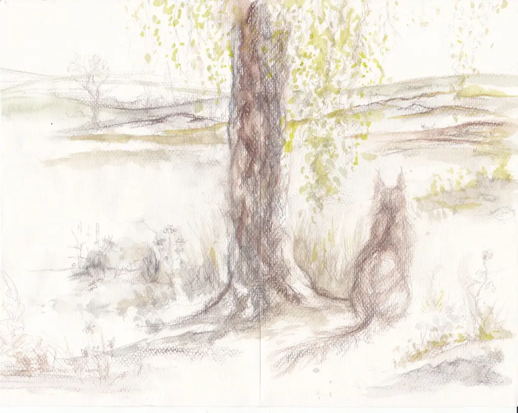 Image from Karl-Heinz-Emil