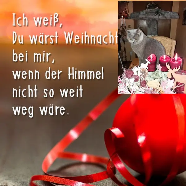 Condolence image of Dein Frauchen