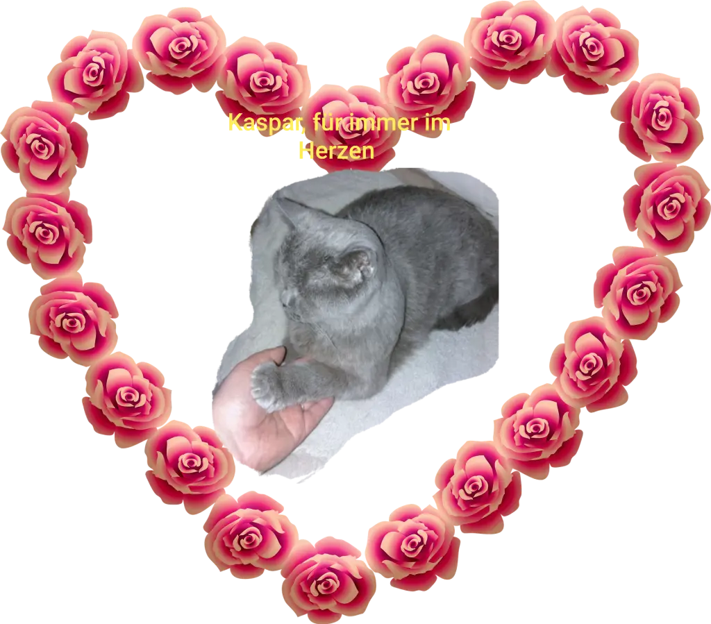 Condolence image of Ellen mit Lina ♥️