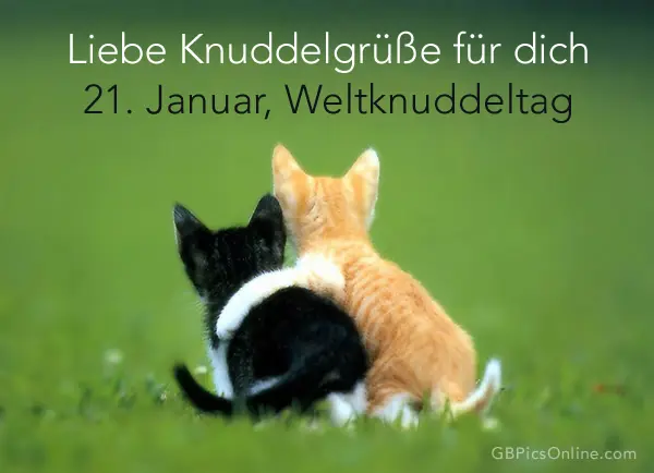 Condolence image of Unbekannt