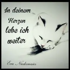 Condolence image of Unbekannt