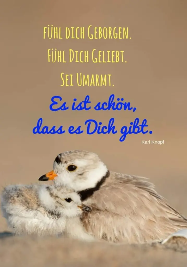 Condolence image of Ellen mit Lina ♥️