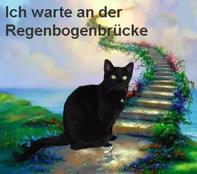 Condolence image of Unbekannt