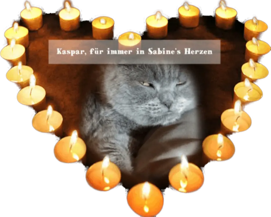 Condolence image of Für meine Mama ♥️