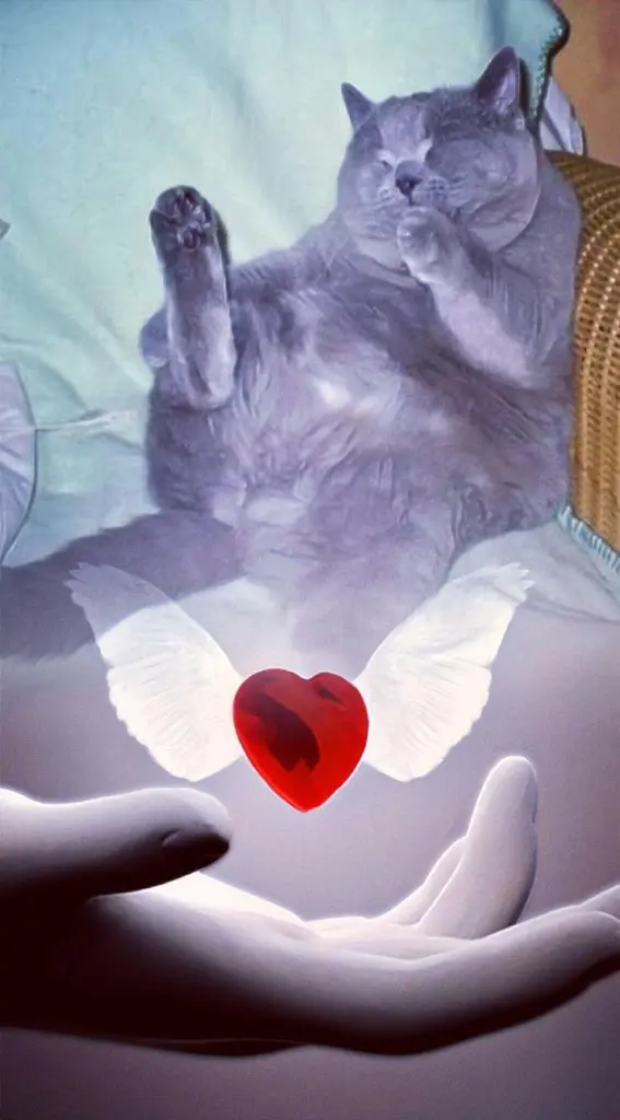 Condolence image of Ellen mit Lina ♥️