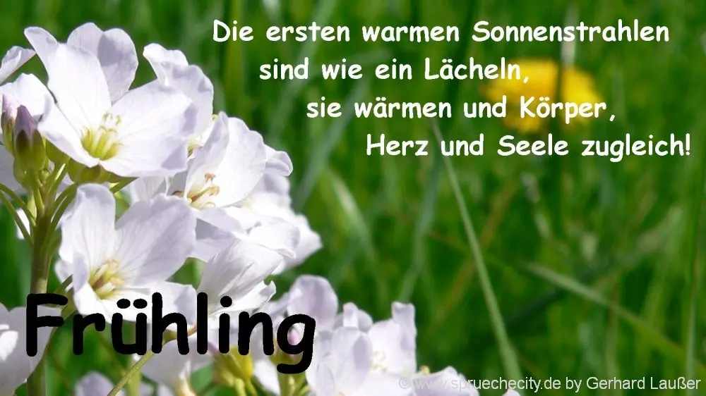 Condolence image of Unbekannt