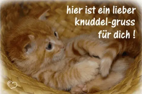 Condolence image of Ellen mit Lina ♥️