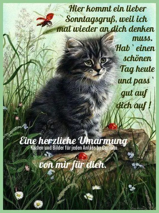 Condolence image of Unbekannt