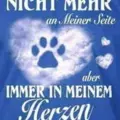Condolence image of Tanja mit Timmy im Herzen