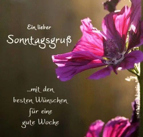 Condolence image of Unbekannt