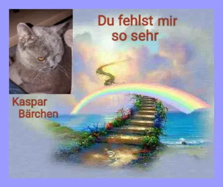 Condolence image of Dein Frauchen