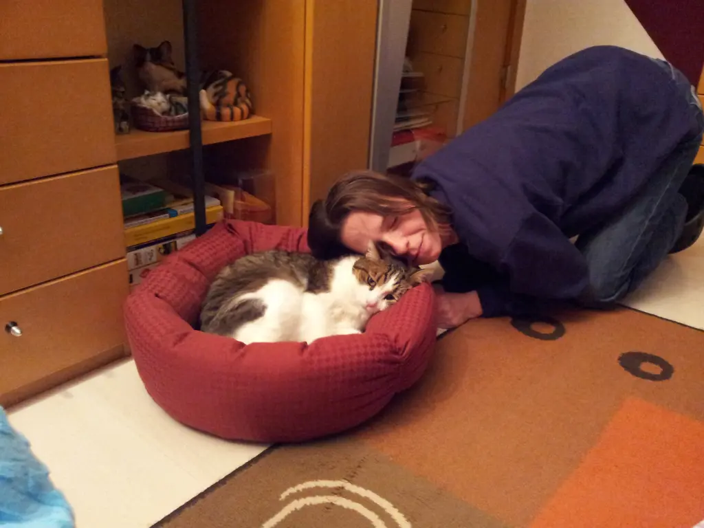 Condolence image of Tanja mit Timmy im Herzen
