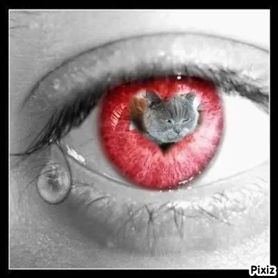 Condolence image of ❤️❤️❤️